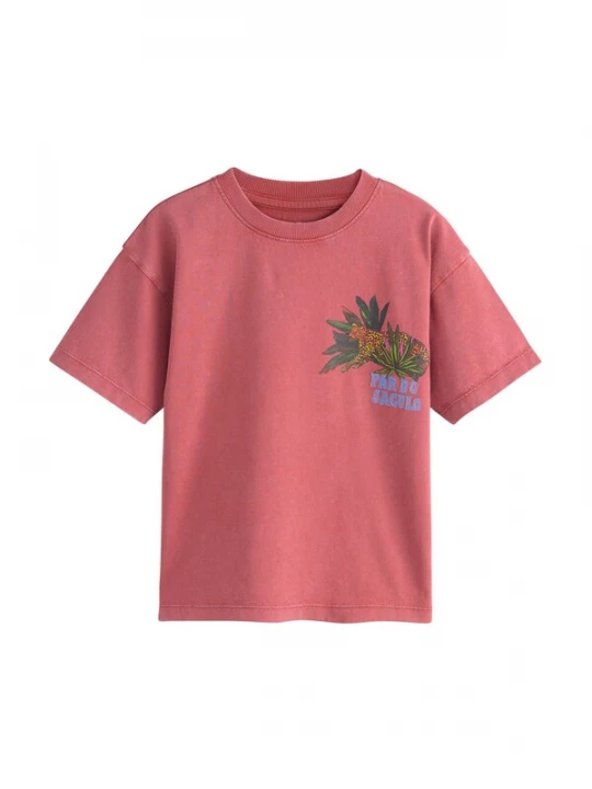 Foto van product Next Shirt blauw / grasgroen / donkergroen / cranberry