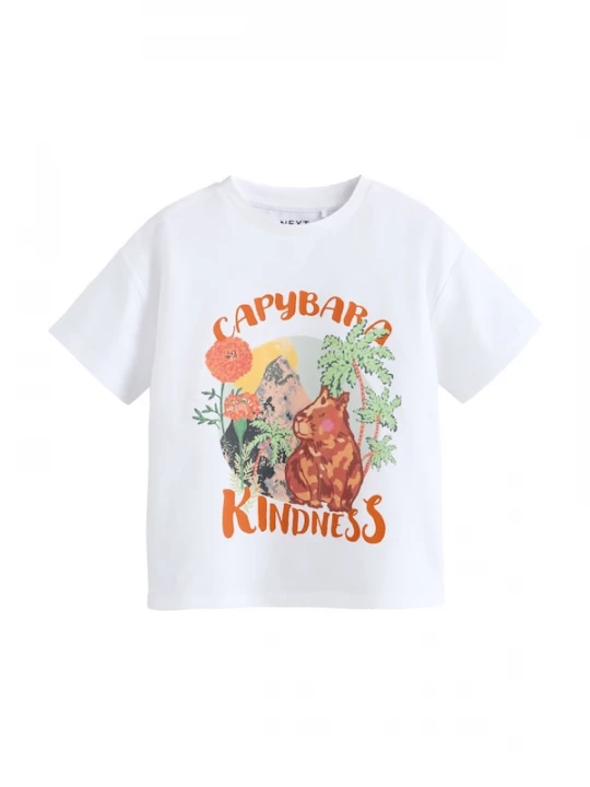 Foto van product Next Shirt bruin / lichtgroen / kreeft / wit