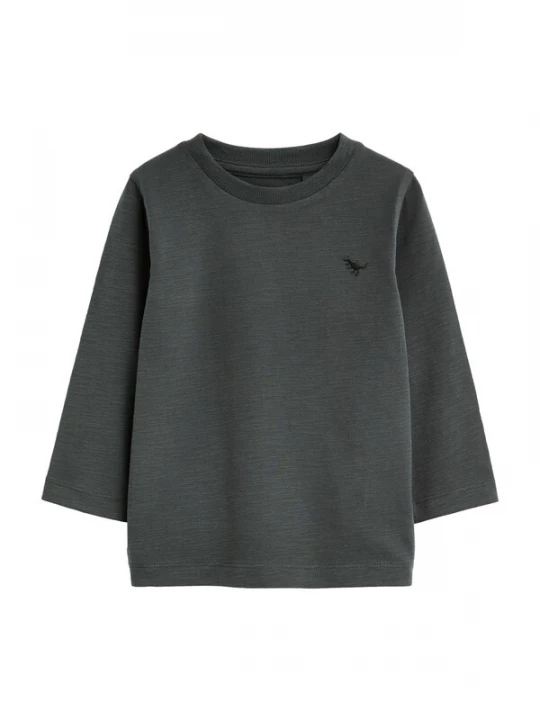 Foto van product Next Shirt donkergrijs
