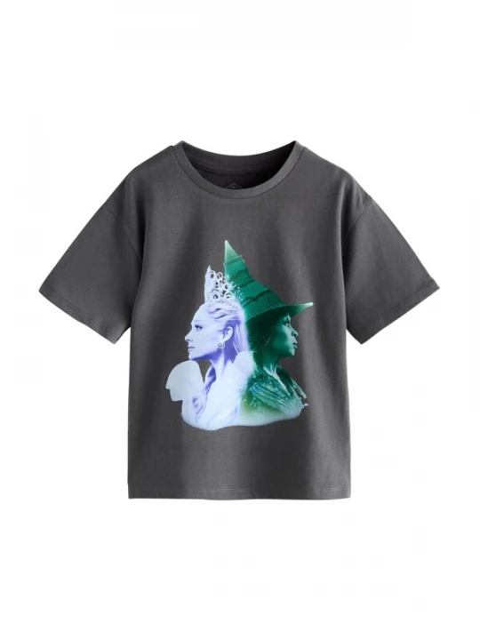 Foto van product Next Shirt donkergrijs / donkergroen / lichtlila