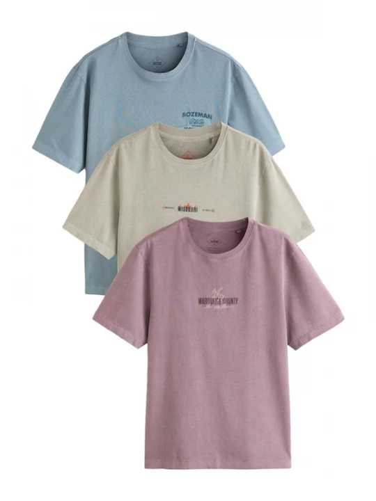 Foto van product Next Shirt duifblauw / pastelgroen / oudroze