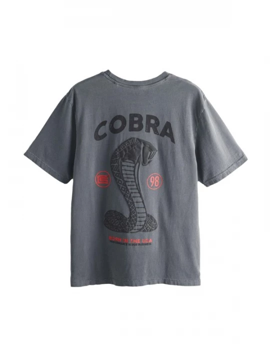 Foto van product Next Shirt grijs / rood