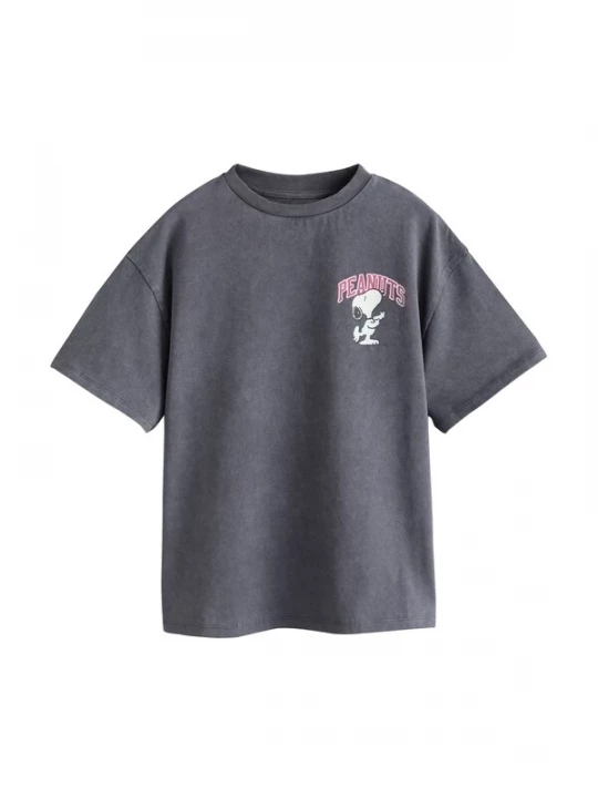 Foto van product Next Shirt 'Peanuts Snoopy' donkergrijs / donkerroze / zwart / wit
