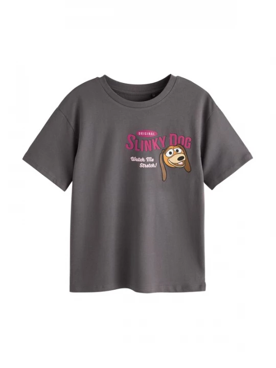 Foto van product Next Shirt 'Toy Story' bruin / mokka / grijs / pink