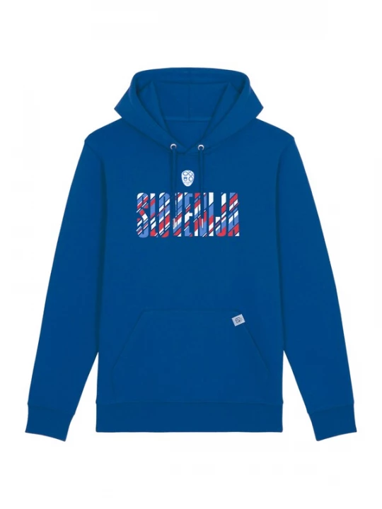 Foto van product NIKE Sportsweatshirt blauw / rood / wit