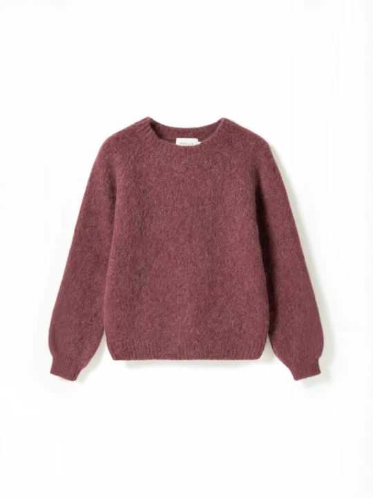 Foto van product Noella Trui ' N-Latora ' roestrood