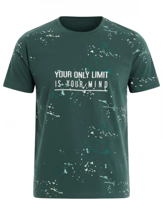 Foto van product Ombre Shirt donkergroen