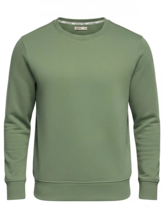 Foto van product Ombre Sweatshirt 'OM-SSBN-0271' groen