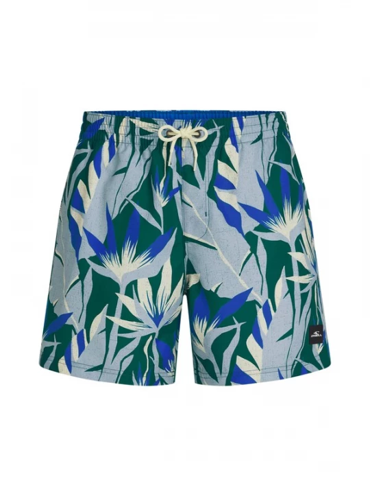Foto van product O'NEILL Boardshorts chamois / royal blue / koningsblauw / duifblauw / groen