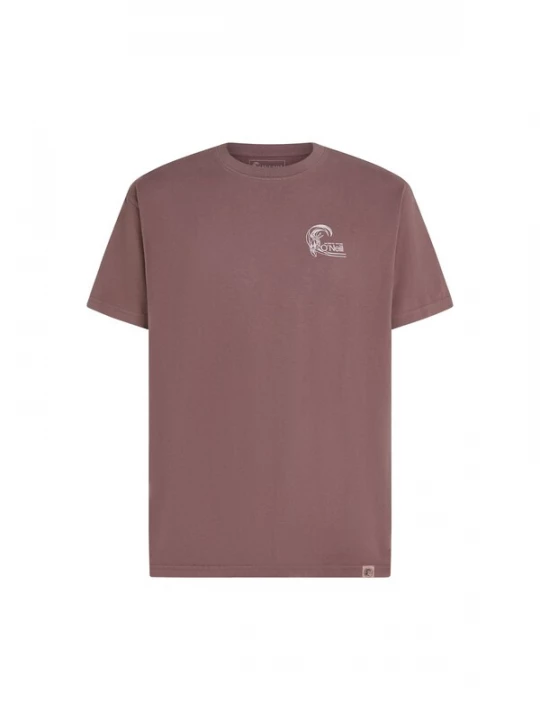 Foto van product O'NEILL Shirt grijs / mauve