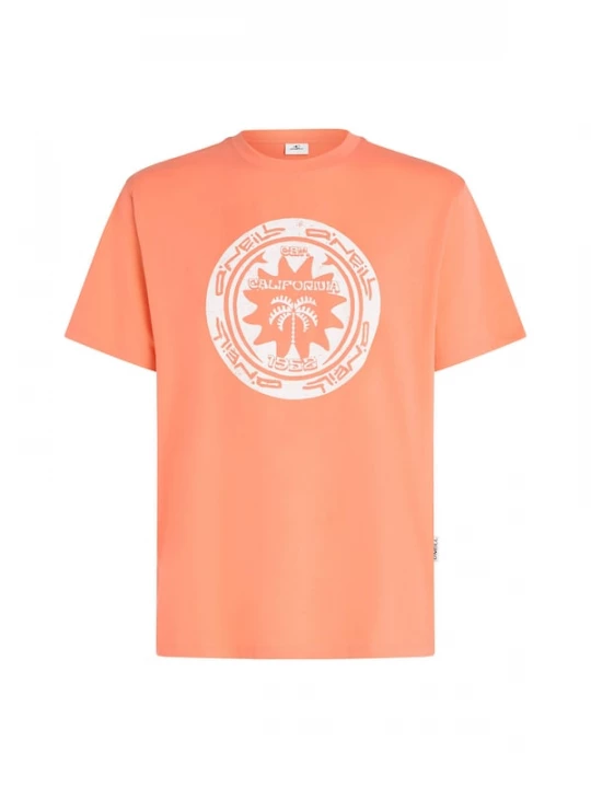 Foto van product O'NEILL Shirt 'Musthave' abrikoos / wit