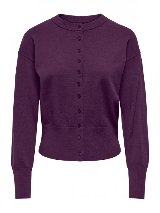 Foto van product ONLY Gebreid vest 'ONLMio' aubergine