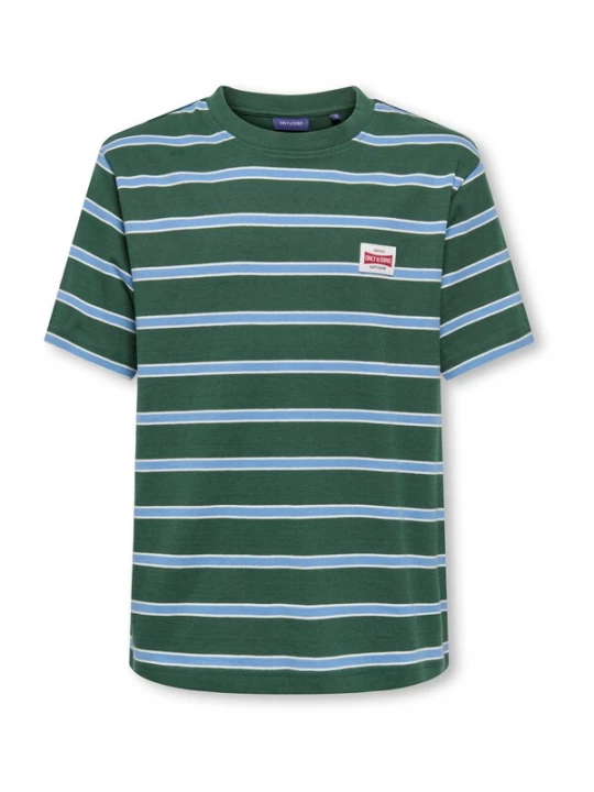 Foto van product Only & Sons Junior Shirt 'OSJDAWSON' lichtblauw / donkergroen / wit
