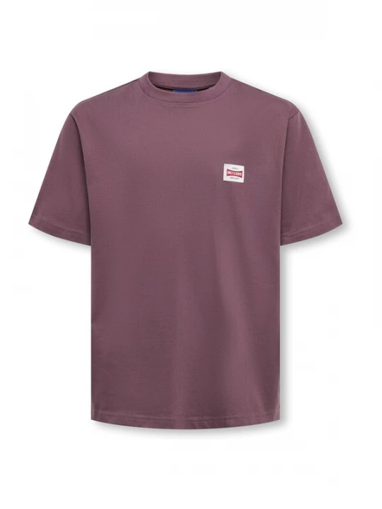 Foto van product Only & Sons Junior Shirt 'OSJFred' kastanjebruin