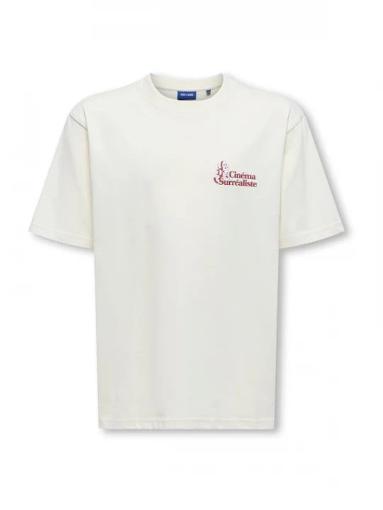 Foto van product Only & Sons Junior Shirt 'OSJFREDO' pastelgroen / wijnrood