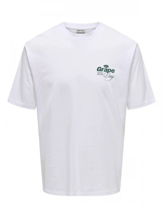 Foto van product Only & Sons Shirt 'ONSALFRESCO' groen / wit