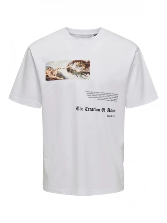Foto van product Only & Sons Shirt 'ONSApoh Life' duifblauw / karamel / zwart / wit