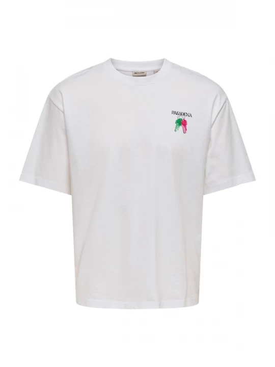 Foto van product Only & Sons Shirt 'ONSFRED ESCAPE' appel / framboos / zwart / wit