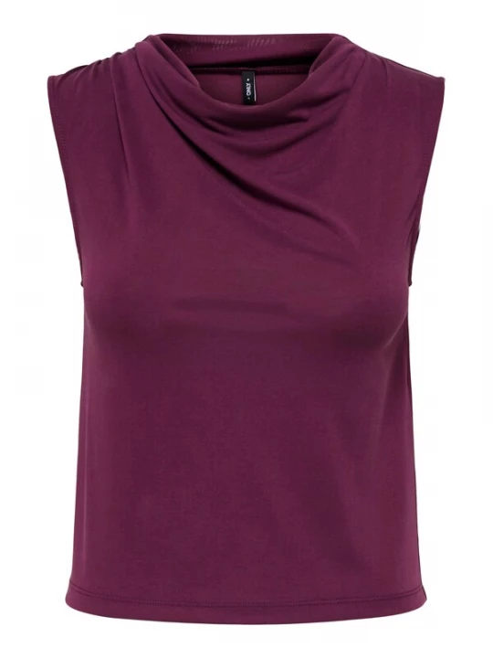Foto van product ONLY Top 'ONLHANNAH' bessen