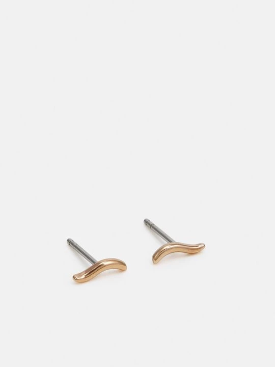 Foto van product Oorbellen Skagen goudkleurig