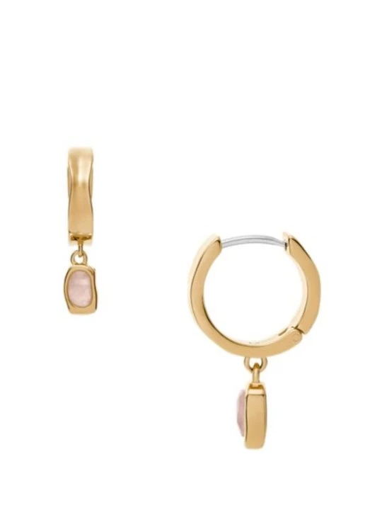 Foto van product Oorbellen Skagen goudkleurig