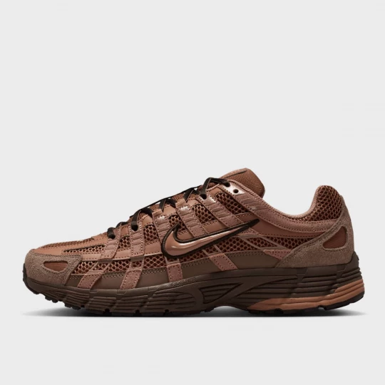 Foto van product P-6000 SE Nike bruin