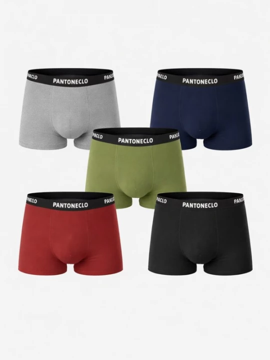 Foto van product PANTONECLO Boxershorts 'Pantoneclo Men’s Boxer Underwear-10 Pcs Pack' gemengde kleuren