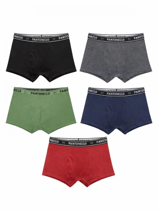 Foto van product PANTONECLO Boxershorts 'Pantoneclo Men’s Boxer Underwear' gemengde kleuren
