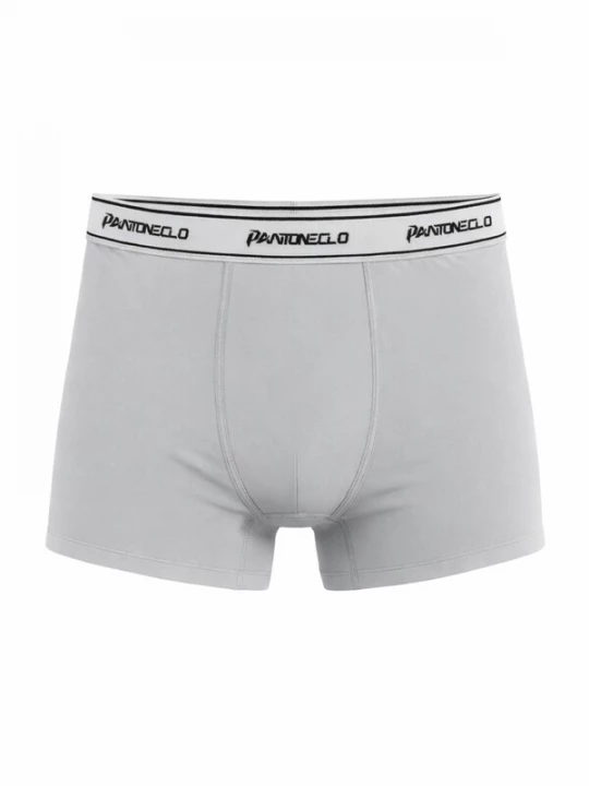 Foto van product PANTONECLO Boxershorts 'Pantoneclo Men’s Boxer Underwear' grijs