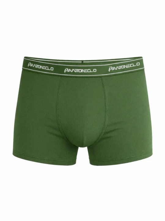 Foto van product PANTONECLO Boxershorts 'Pantoneclo Men’s Boxer Underwear' groen