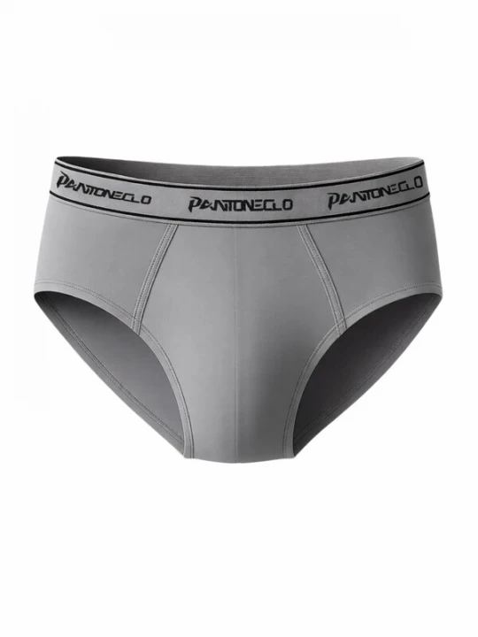 Foto van product PANTONECLO Slip 'Pantoneclo Men’ Boxer Brief Underwear' donkergrijs