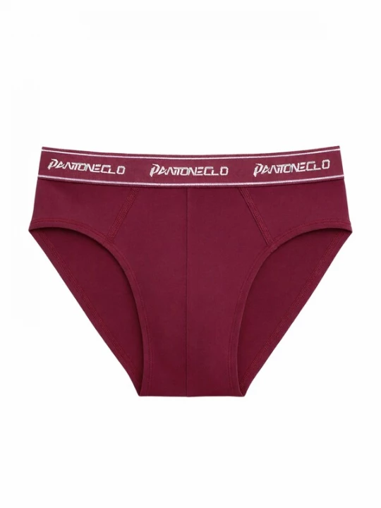 Foto van product PANTONECLO Slip 'Pantoneclo Men’s Boxer Brief Underwear' bourgogne