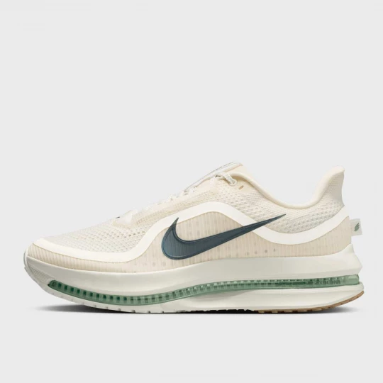 Foto van product Pegasus Premium Nike beżowy