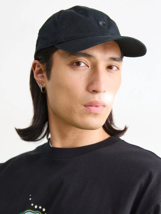 Foto van product Pet Carhartt WIP zwart