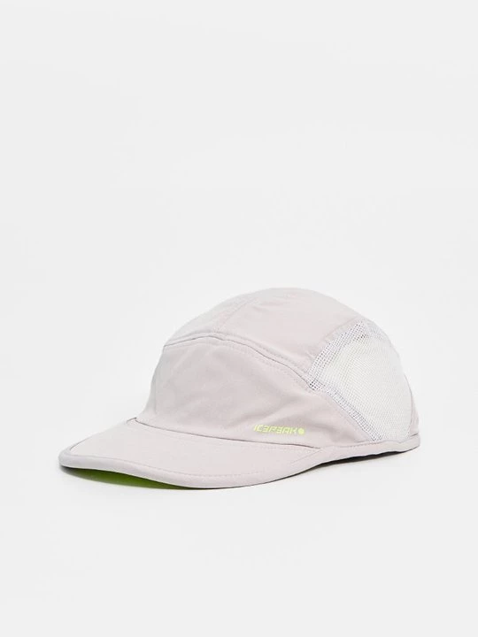 Foto van product Pet icepeak zilverkleurig