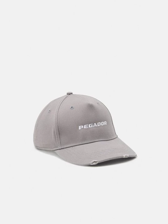 Foto van product Pet Pegador grijs
