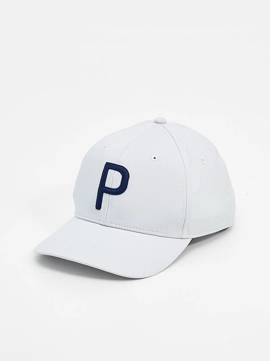 Foto van product Pet Puma grijs