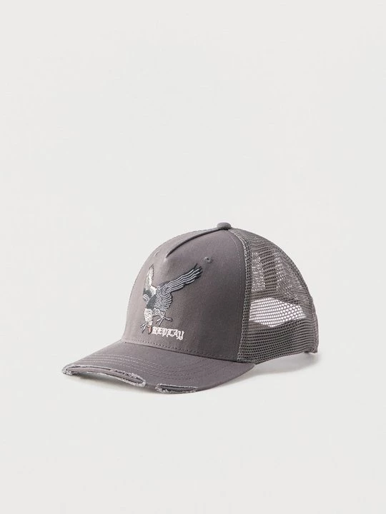 Foto van product Pet Replay grijs