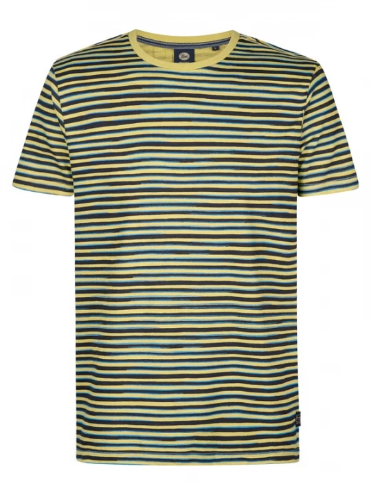 Foto van product Petrol Industries Shirt 'Anchorview' pastelgroen
