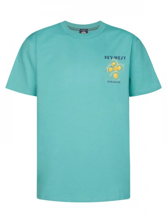 Foto van product Petrol Industries Shirt 'Breezecrest' navy / turquoise / donkergeel / groen