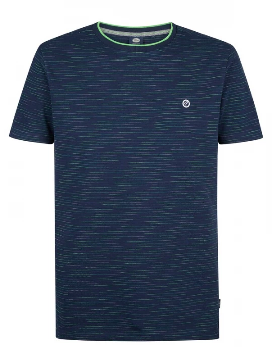Foto van product Petrol Industries Shirt 'Cactus' blauw / groen