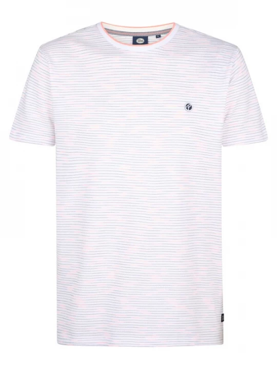 Foto van product Petrol Industries Shirt 'Cactus' grijs / zwart / wit