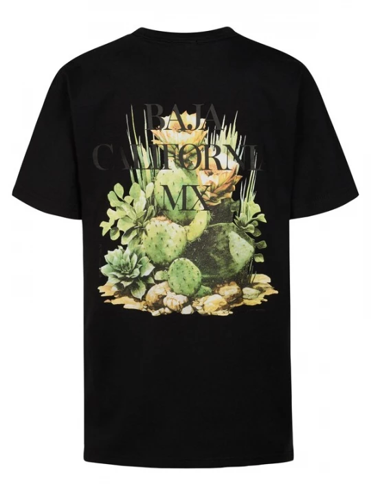 Foto van product Petrol Industries Shirt 'Corrido' groen / zwart