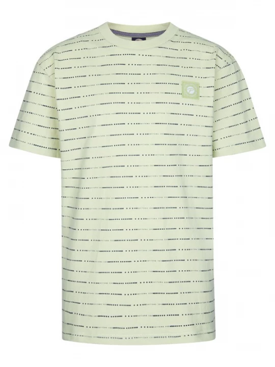 Foto van product Petrol Industries Shirt 'Sandview' groen gemêleerd