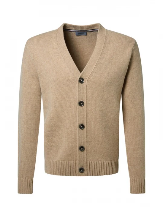 Foto van product PIERRE CARDIN Gebreid vest beige