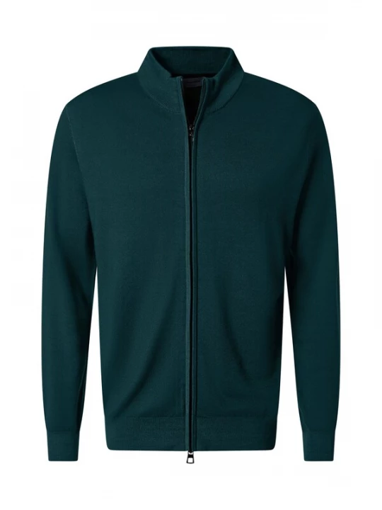 Foto van product PIERRE CARDIN Gebreid vest donkergroen