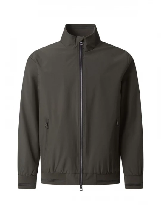 Foto van product PIERRE CARDIN Winterjas groen