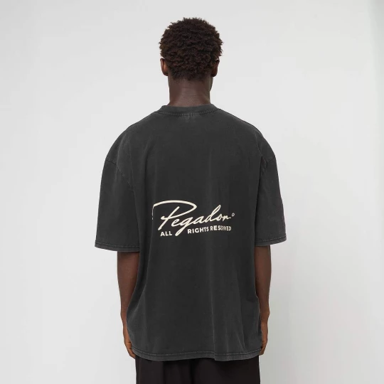 Foto van product Pike Oversized Tee Pegador zwart
