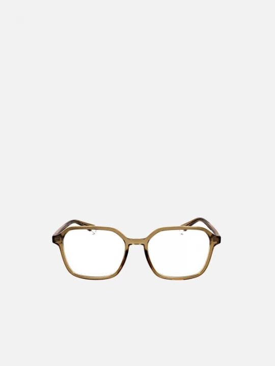 Foto van product Polaroid Zonnebril 'Polaroid PLD D469 Havana / 17 / 145 WOMAN Eyewear Frame' beige