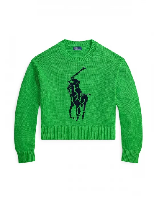 Foto van product Polo Ralph Lauren Trui navy / groen